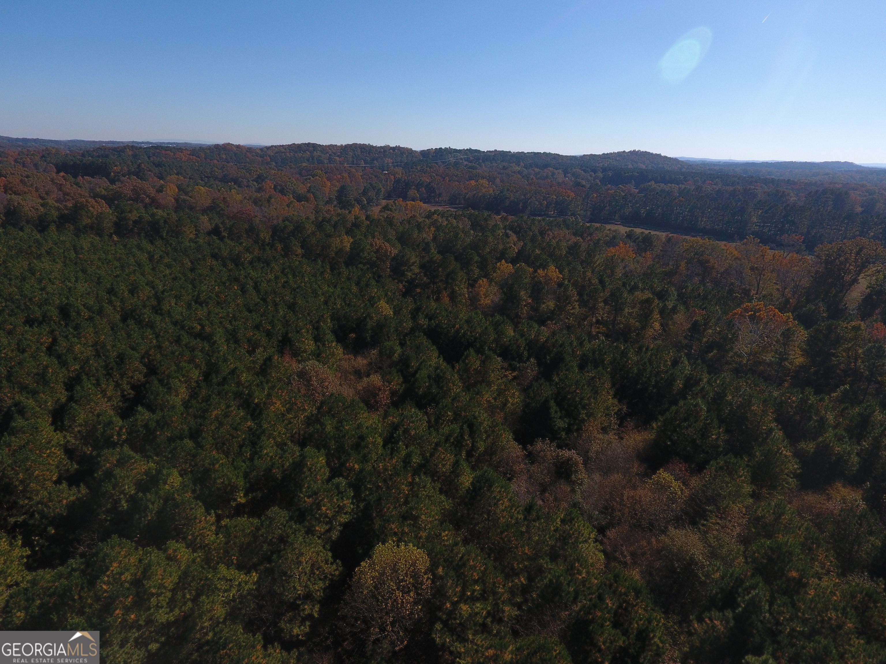 0 Hall Memorial Road, Unit 9595 Calhoun, GA 30703 - Photo 28 of 29 a view of a forest with a mountain in the background
