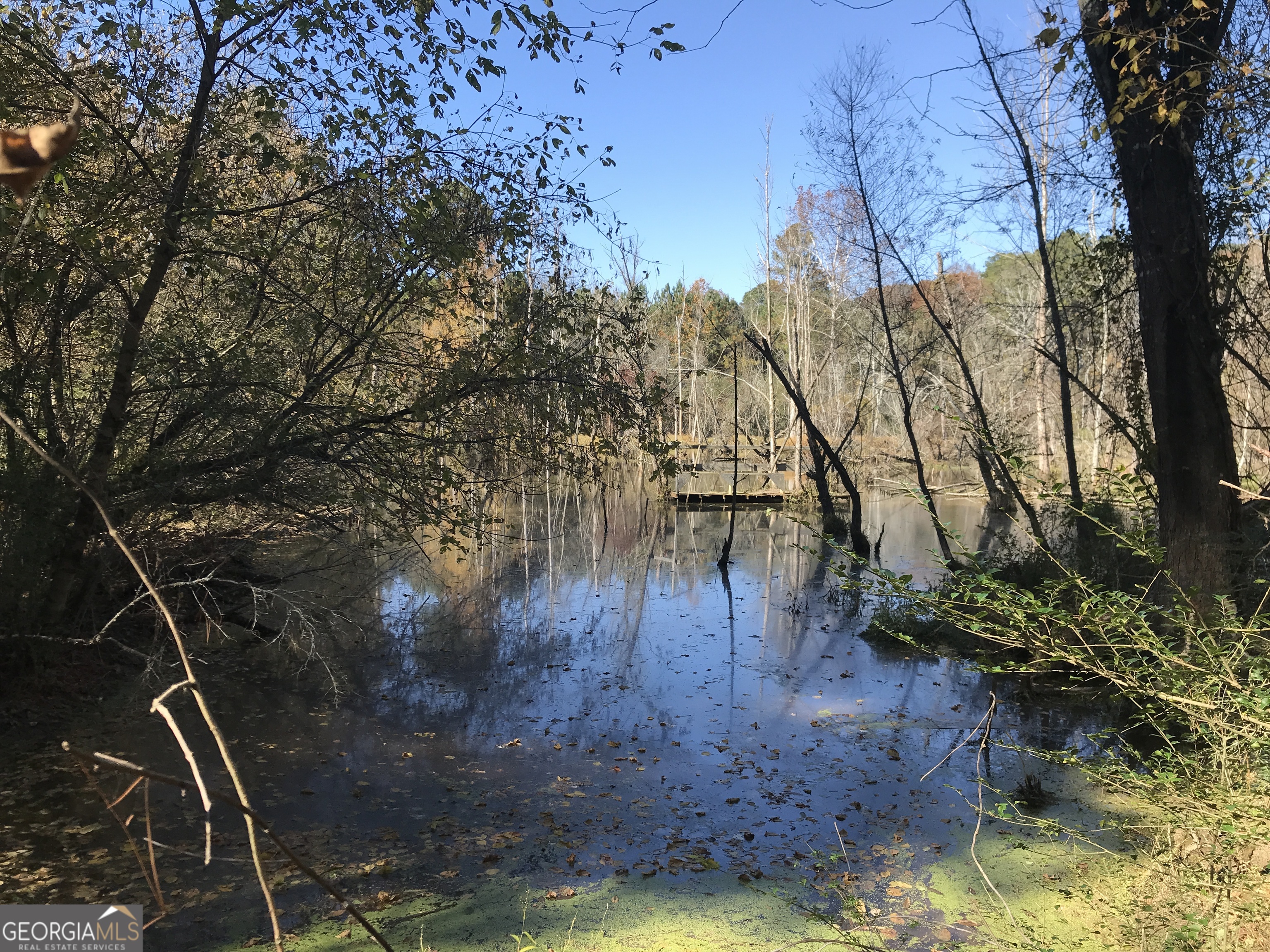 0 Hall Memorial Road, Unit 9595 Calhoun, GA 30703 - Photo 4 of 29 a view of yard with tree