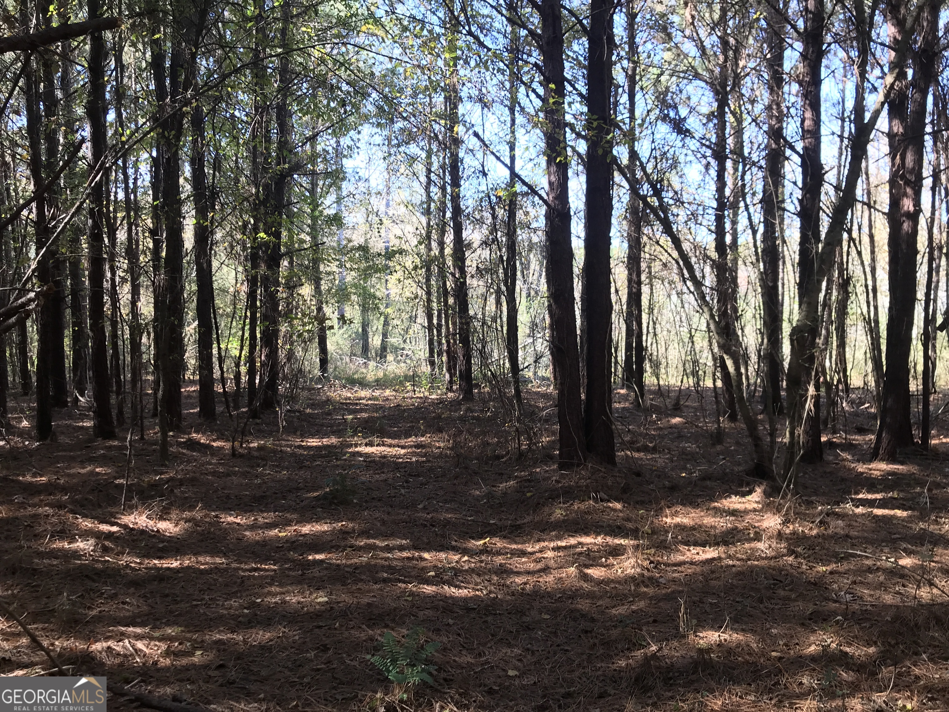 0 Hall Memorial Road, Unit 9595 Calhoun, GA 30703 - Photo 6 of 29 a backyard of a house with lots of green space