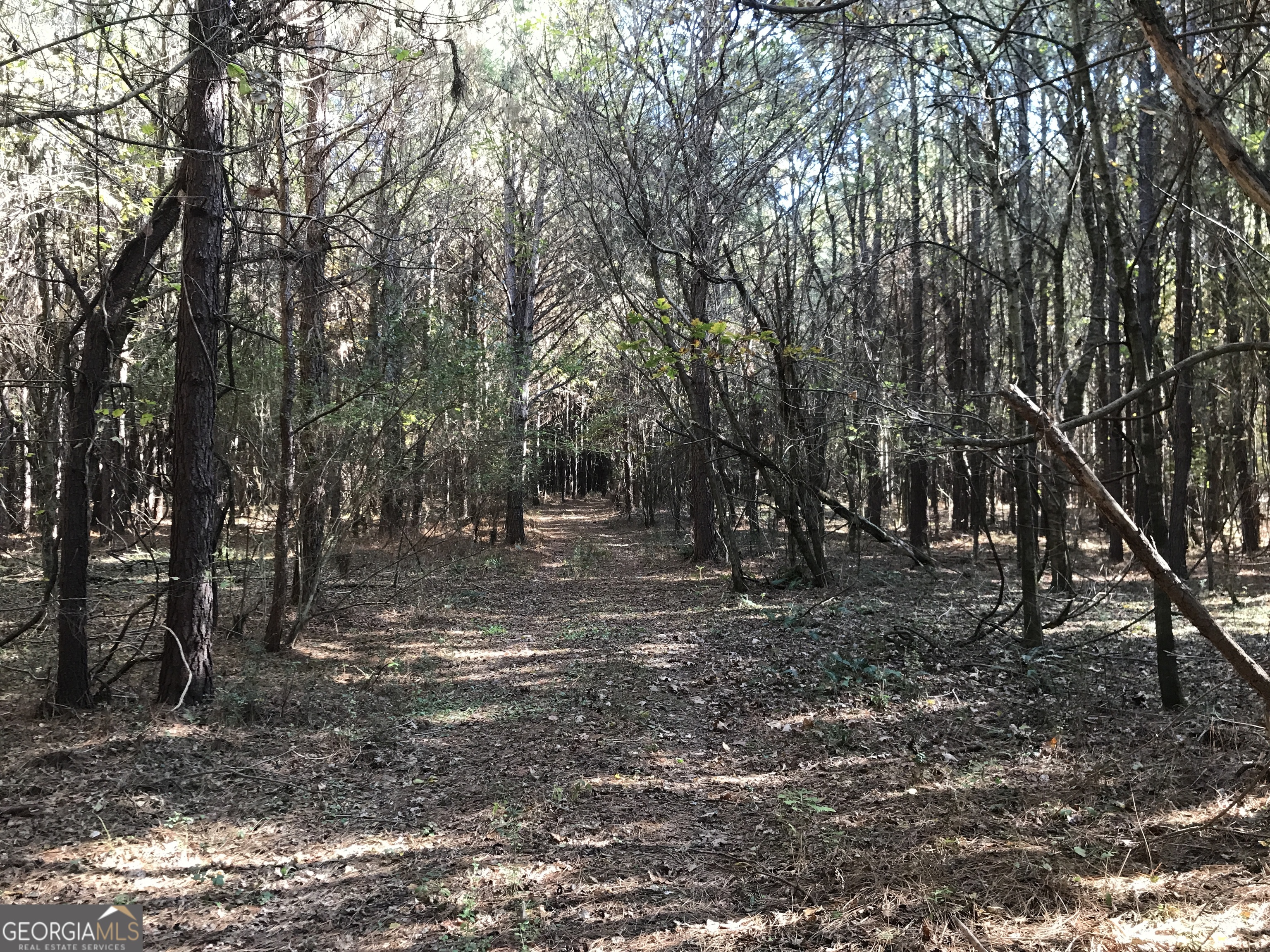 0 Hall Memorial Road, Unit 9595 Calhoun, GA 30703 - Photo 7 of 29 a view of a forest with trees