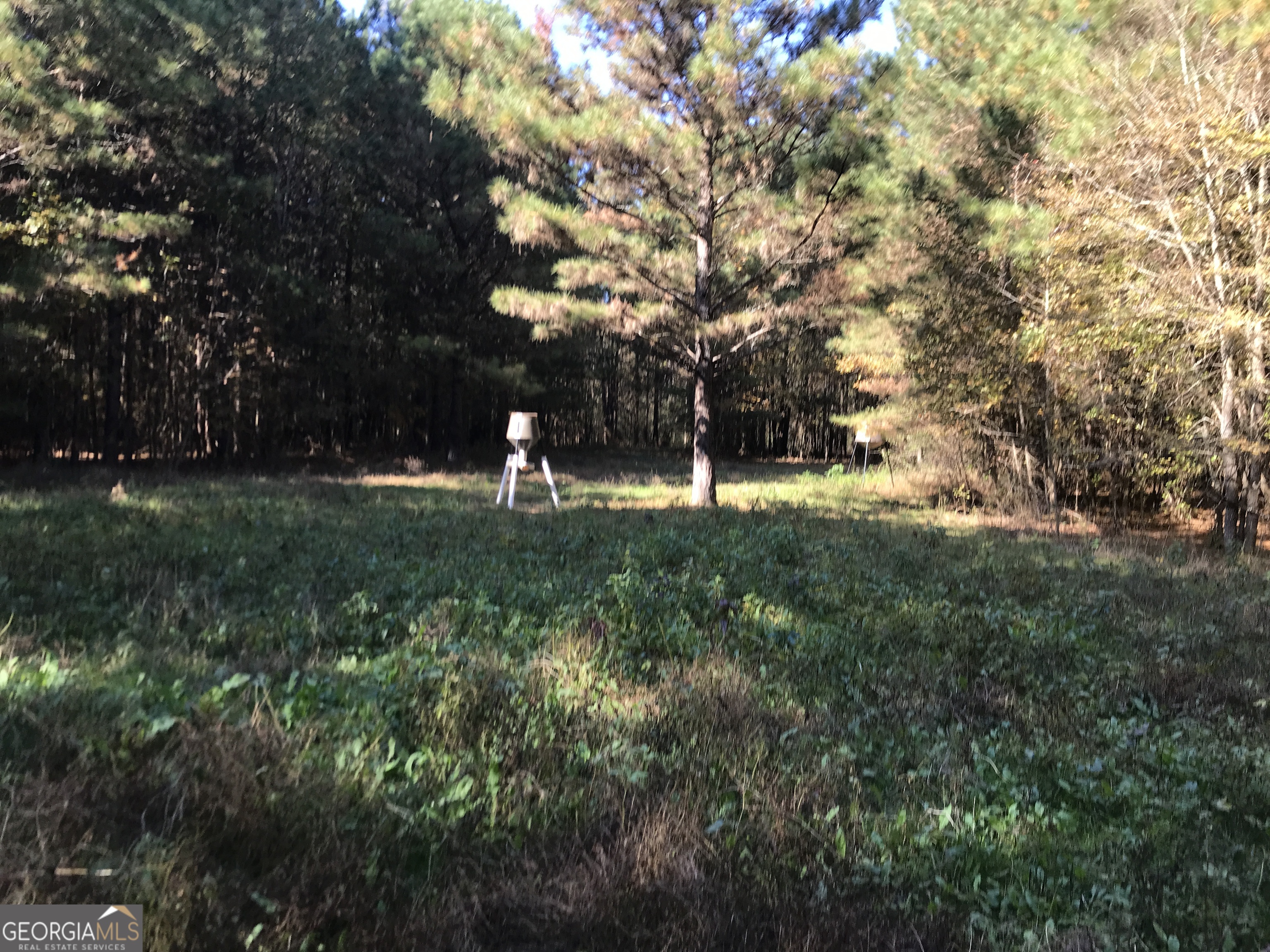 0 Hall Memorial Road, Unit 9595 Calhoun, GA 30703 - Photo 8 of 29 a backyard of a house with lots of green space