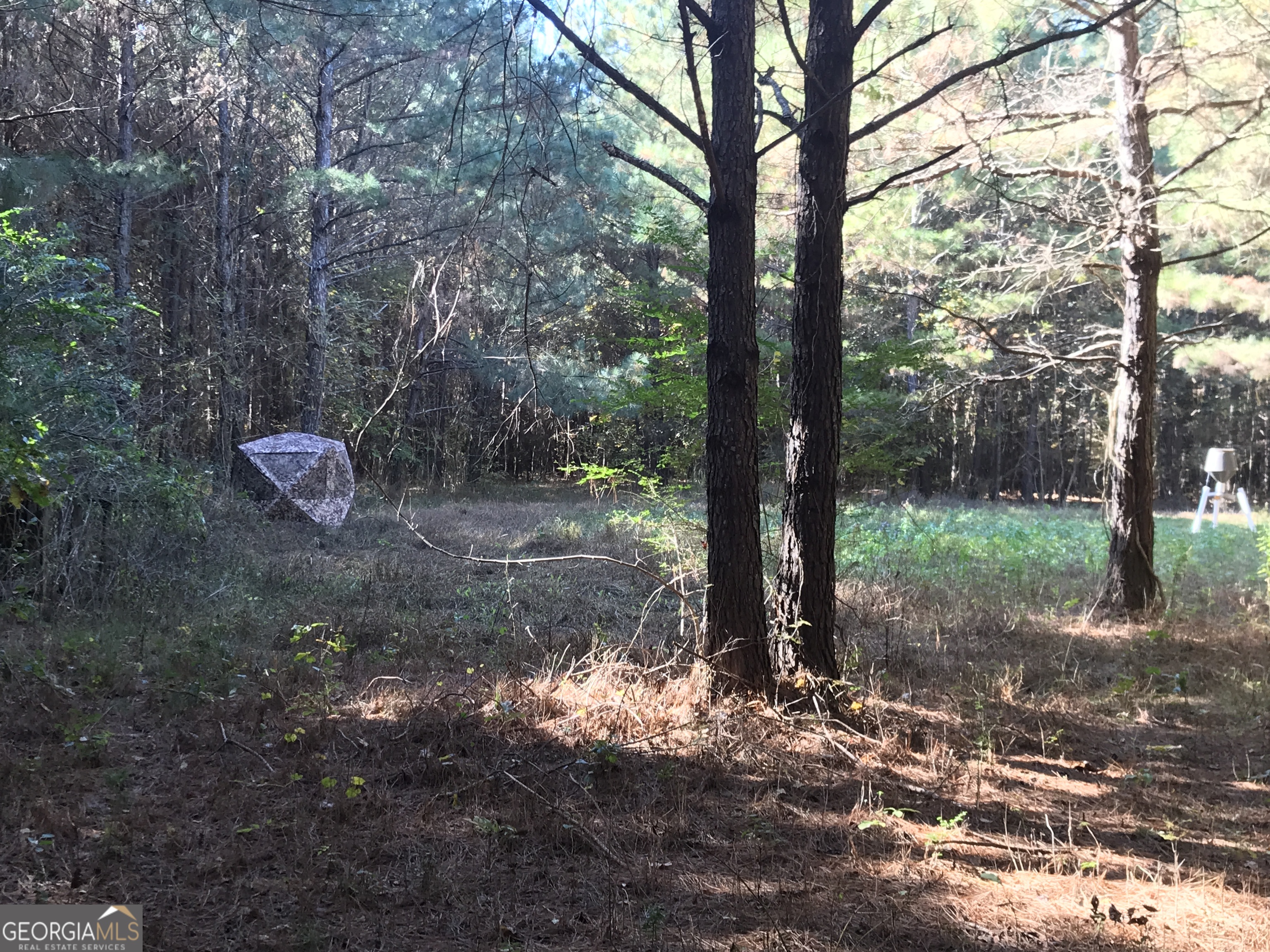 0 Hall Memorial Road, Unit 9595 Calhoun, GA 30703 - Photo 10 of 29 a backyard of a house with lots of green space