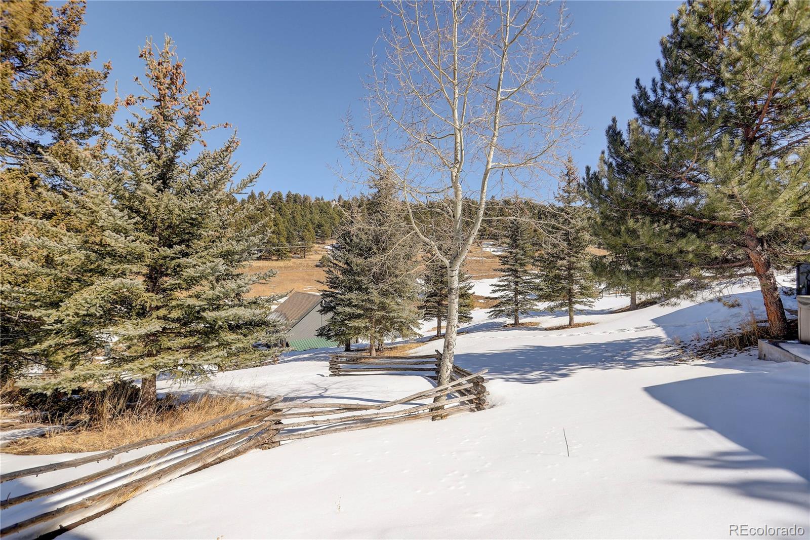 32623 Deep Forest Road Evergreen, CO 80439 - Photo 11 of 39