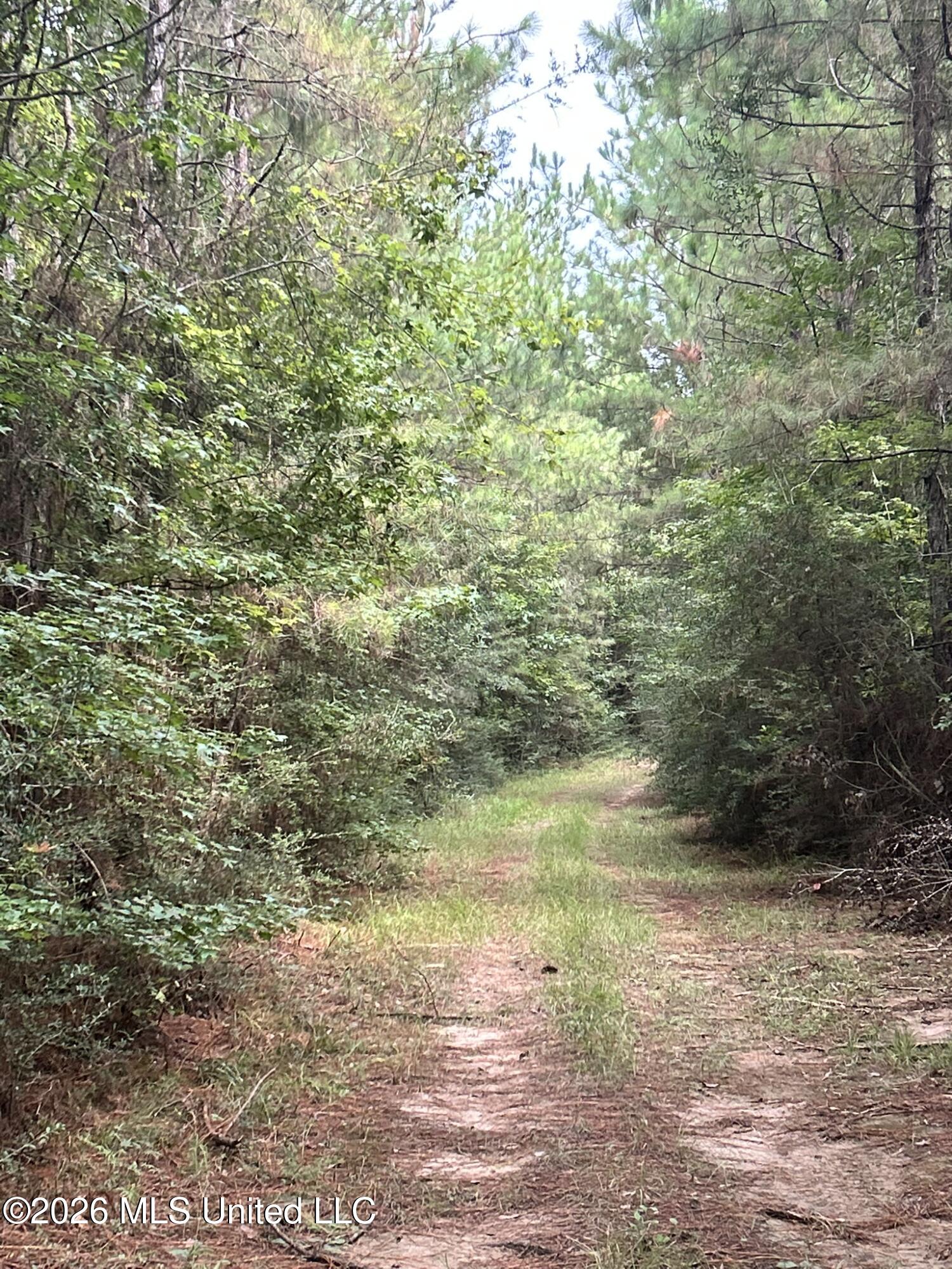 Jayess Road Jayess, MS 39641 - Photo 61 of 65 IMG_9800