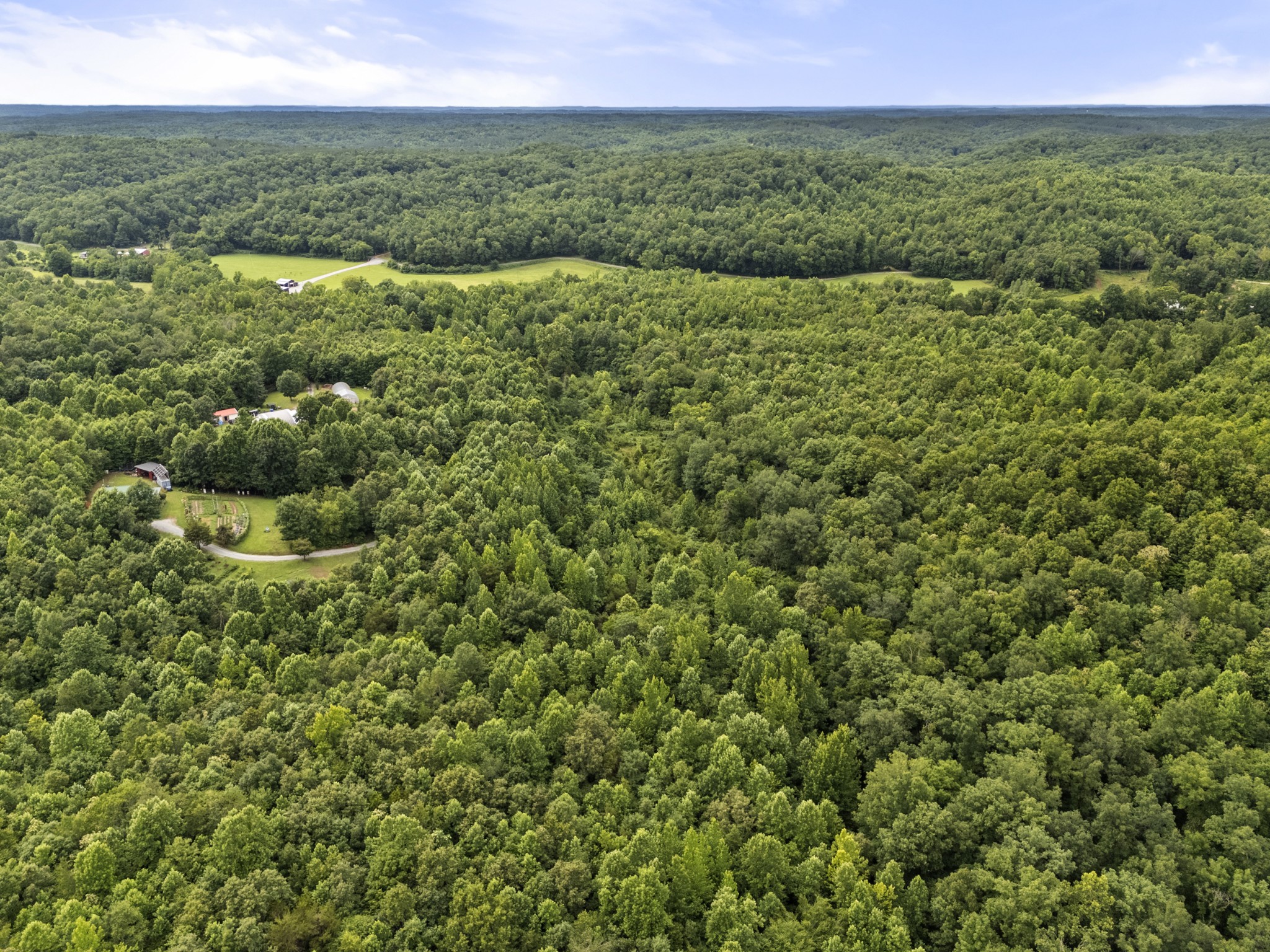 0 Rockhouse Road Linden, TN 37096 - Photo 4 of 6