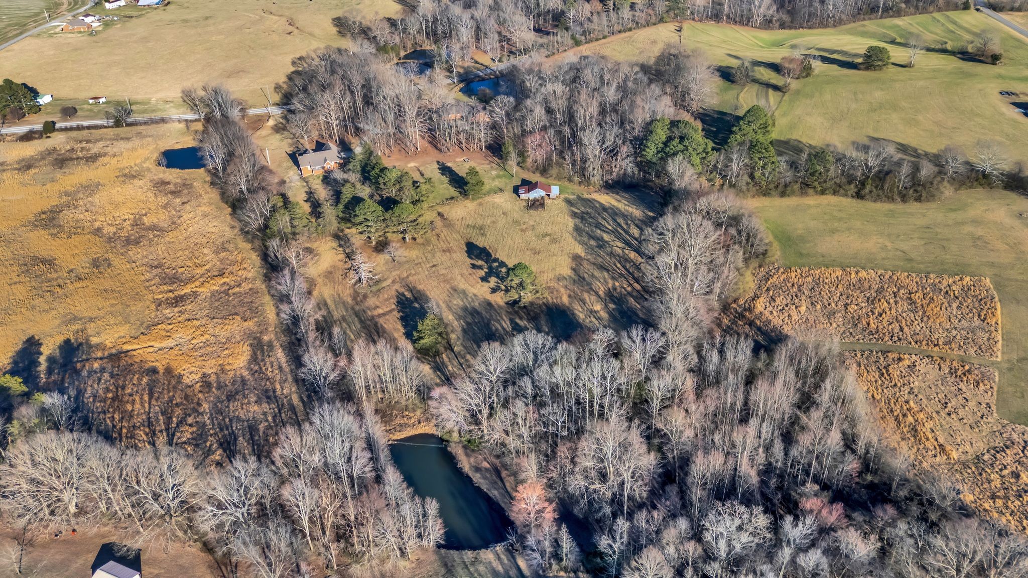 729 Rabbit Trail Road Leoma, TN 38468 - Photo 50 of 52 a view of mountains and river