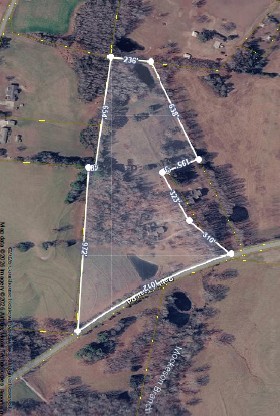 729 Rabbit Trail Road Leoma, TN 38468 - Photo 52 of 52 a view of a backyard of the house