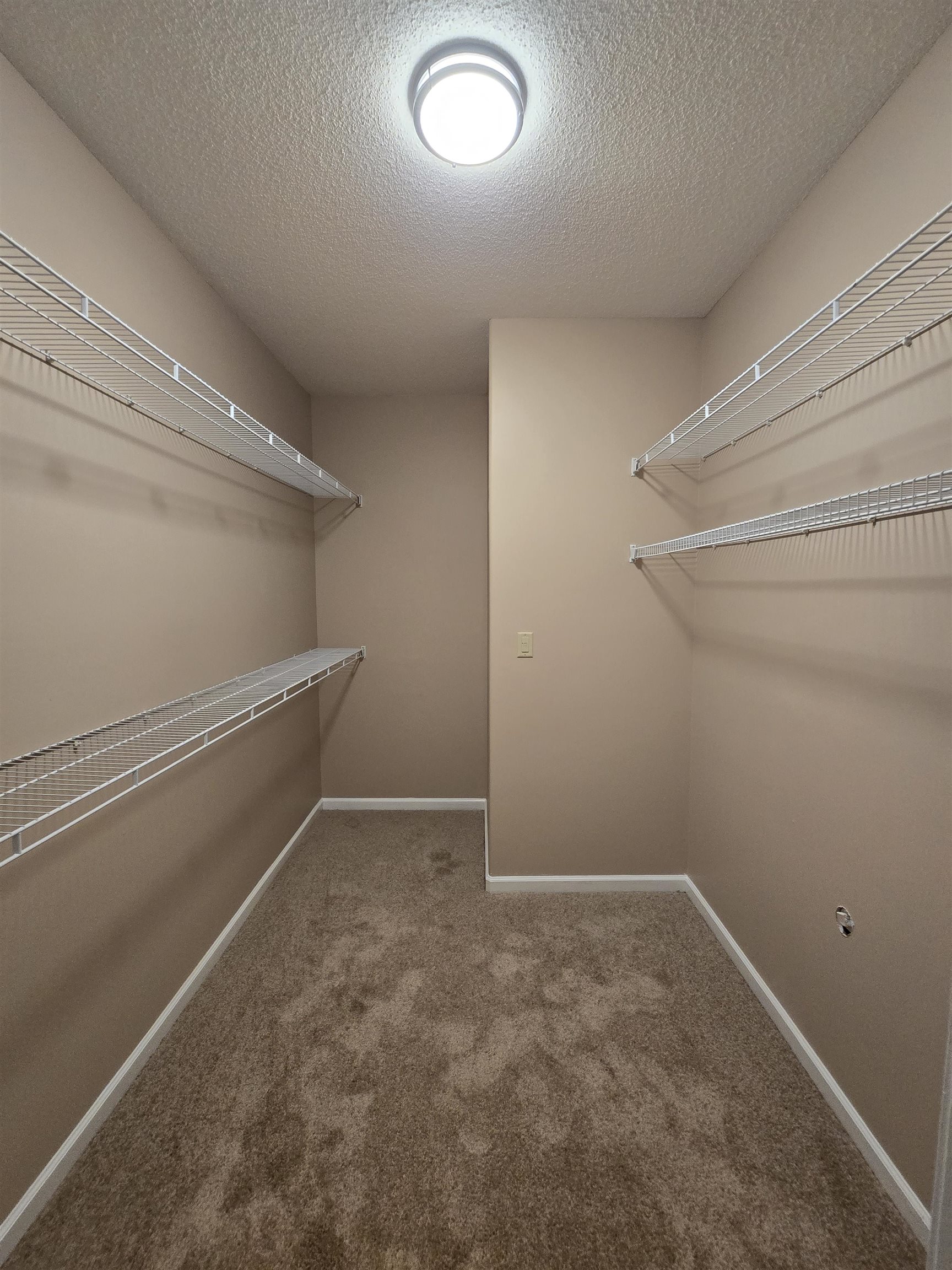 5186 Guffin Road Bartlett, TN 38135 - Photo 19 of 21 a view of an empty walk in closet