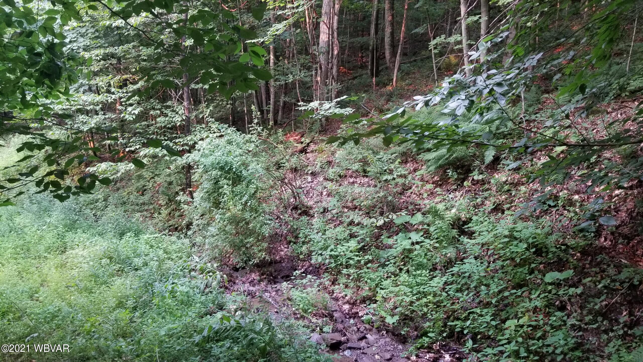 South Lick Creek Road Dushore, PA 18614 - Photo 17 of 18 Gallery Image 17