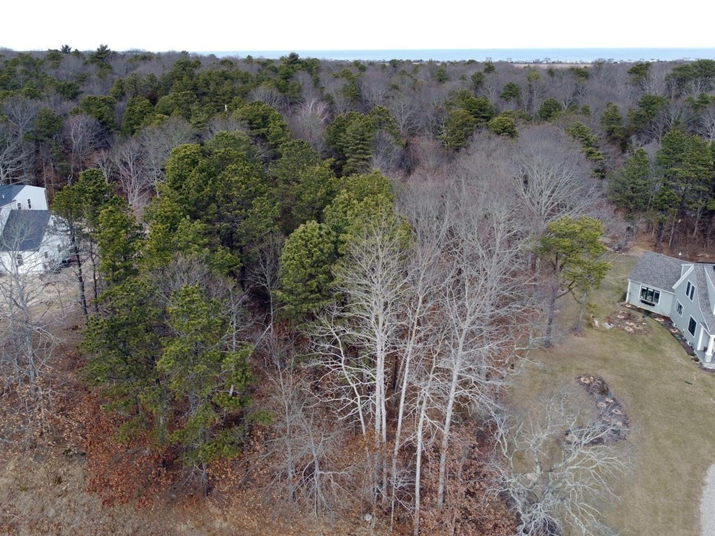 17 Shells Way Bourne, MA 02562 - Photo 2 of 17 a view of a dry field with trees in the background