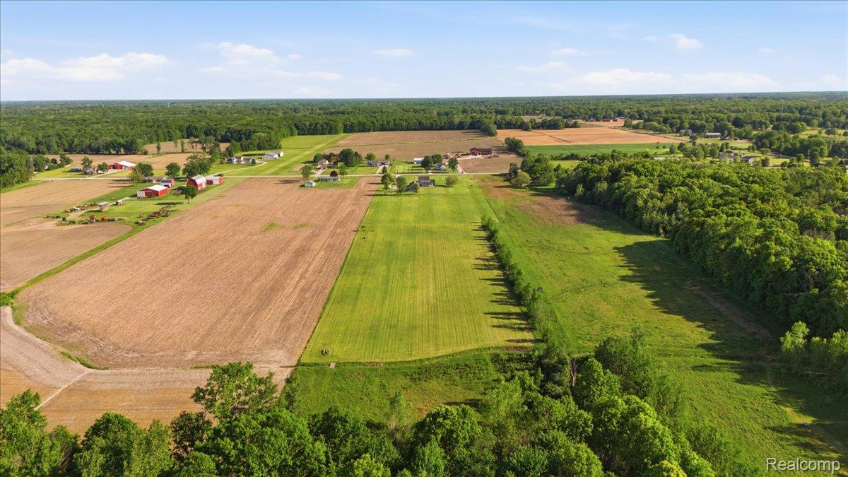 7868 Big Hand Road Columbus, MI 48063 - Photo 25 of 91