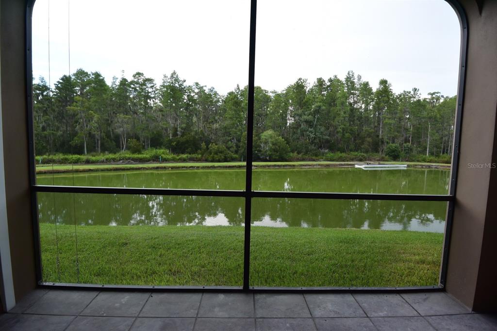 3554 Pickerell Place New Port Richey, FL 34655 - Photo 50 of 53 Gallery Image 50