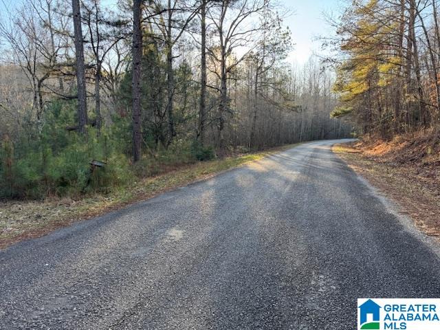 170 Valley Grove Road, Unit 45 AC Cragford, AL 36255 - Photo 5 of 19