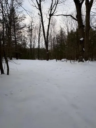 $70,000 | Vl Vl Bayou Road, Montague, MI 49437