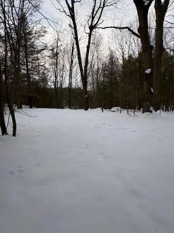 $70,000 | Vl Vl Bayou Road, Montague, MI 49437