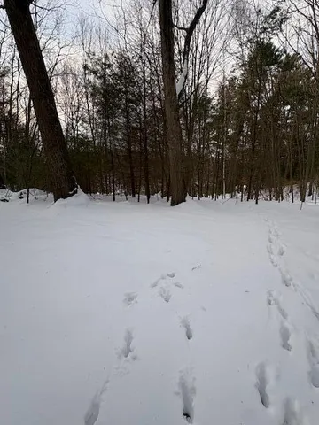 $70,000 | Vl Vl Bayou Road, Montague, MI 49437