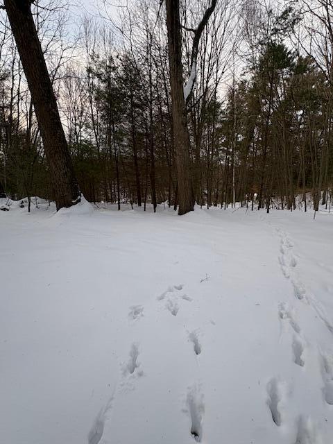 Vl Vl Bayou Road Montague, MI 49437 - Photo 2 of 3 IMG_7479