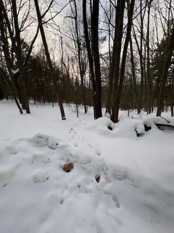 $70,000 | Vl Vl Bayou Road, Montague, MI 49437