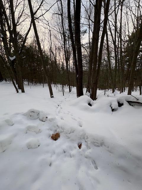 Vl Vl Bayou Road Montague, MI 49437 - Photo 3 of 3 IMG_7478