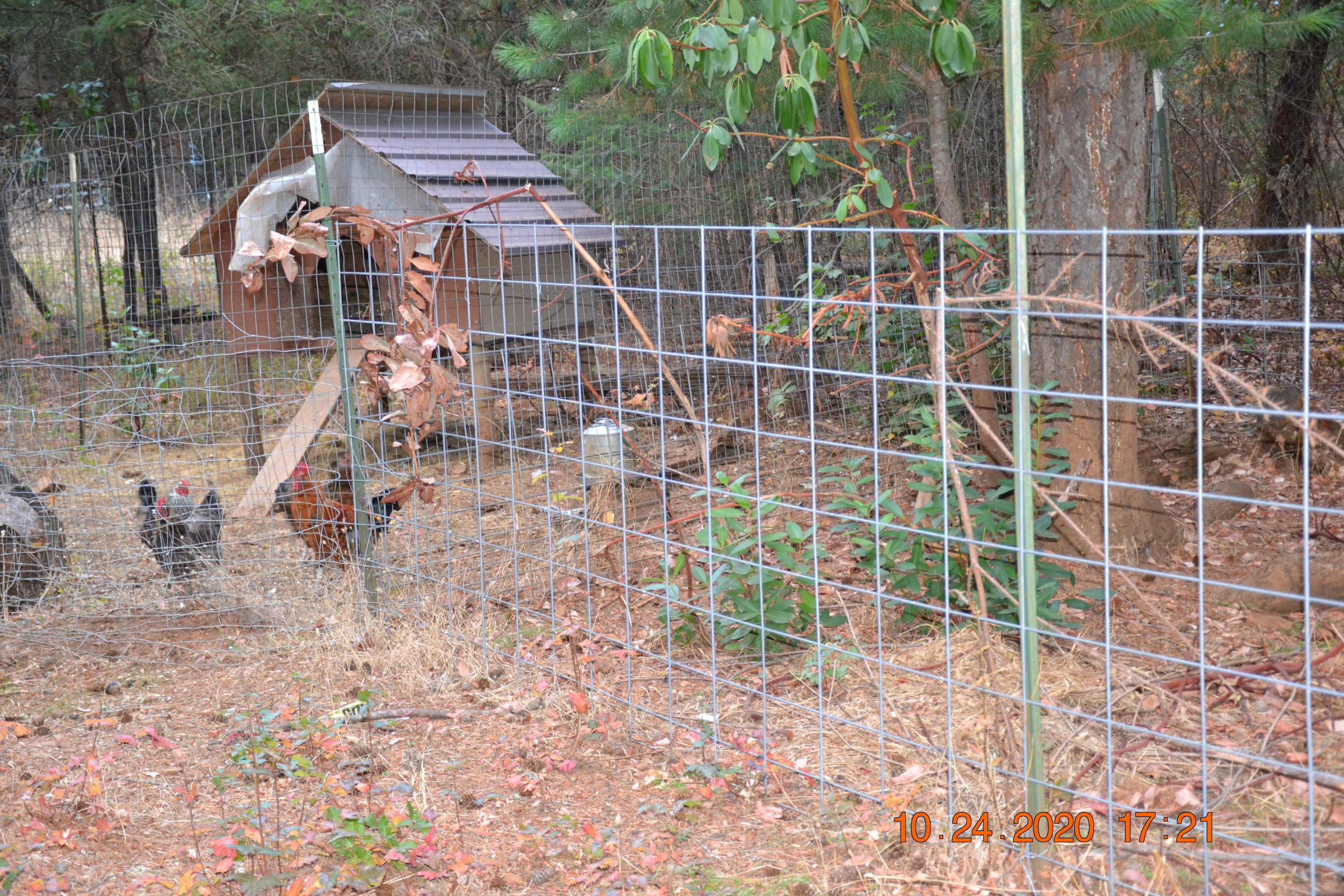 15567 Water Gap Road Williams, OR 97544 - Photo 22 of 36 Chicken Coop