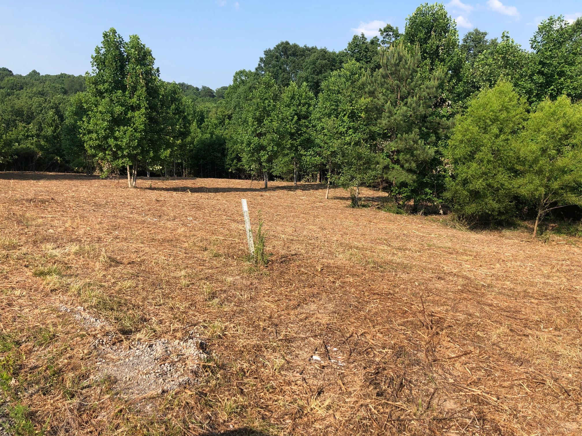 0 Fredonia Farm Road Dunlap, TN 37327 - Photo 1 of 3 IMG_6865