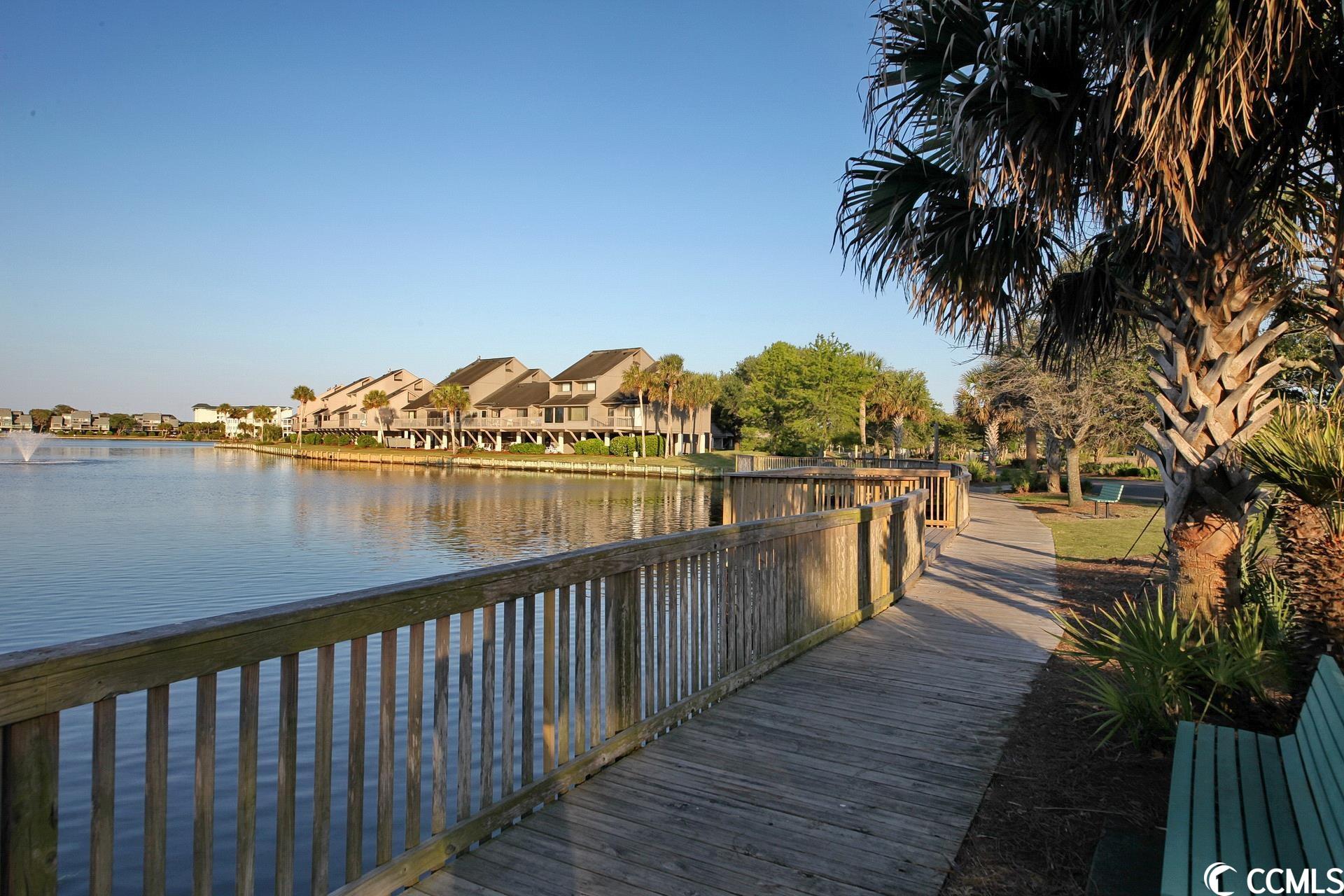 230 Sea Oats Circle Pawleys Island, SC 29585 - Photo 38 of 39