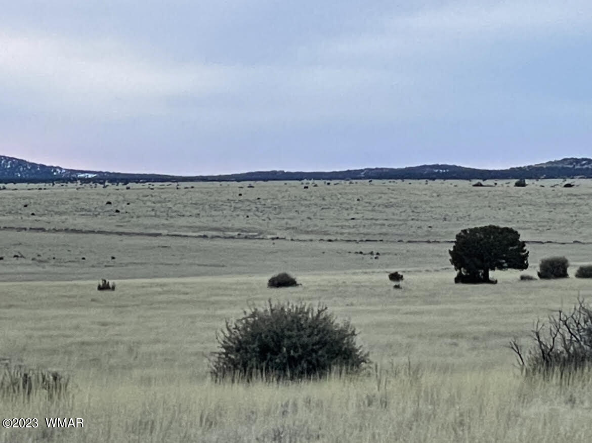 Tbd Tbd Concho, AZ 85924 - Photo 2 of 7