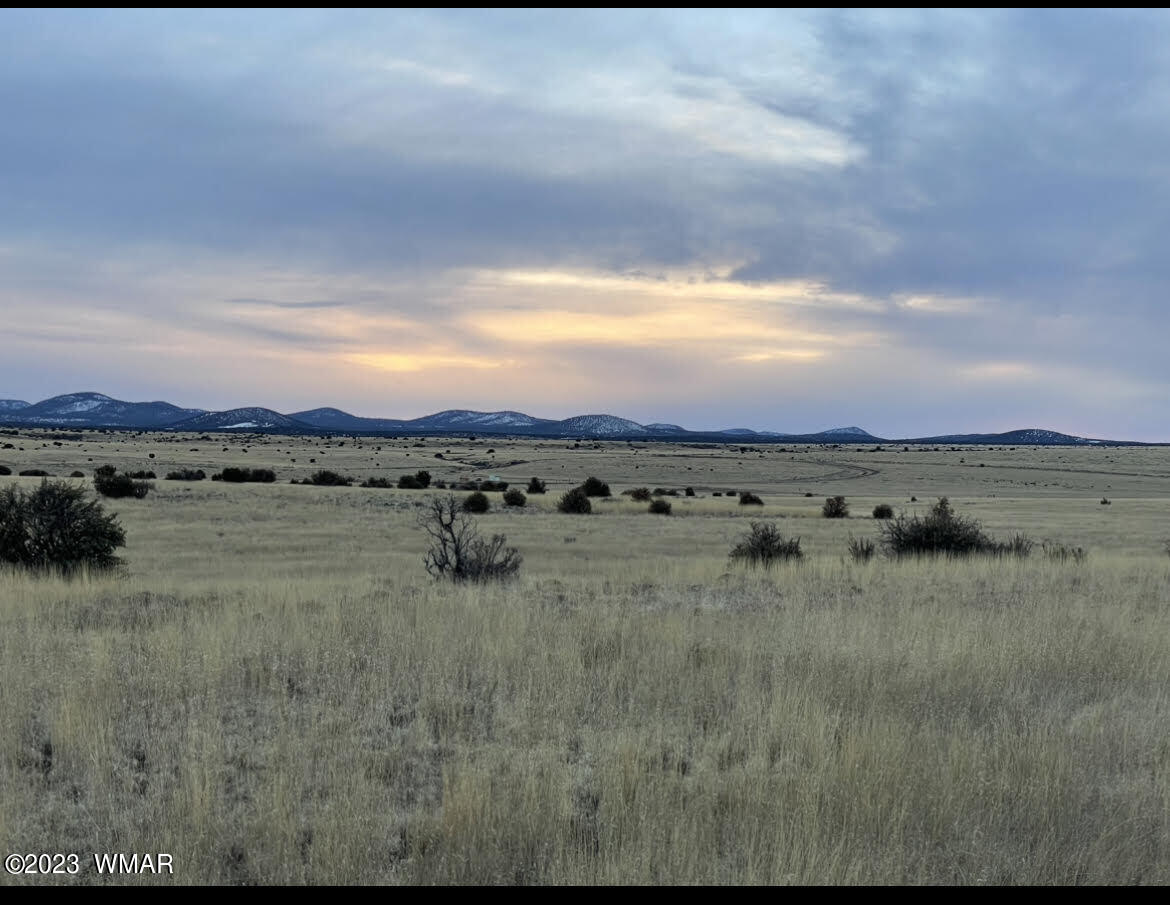 Tbd Tbd Concho, AZ 85924 - Photo 3 of 7