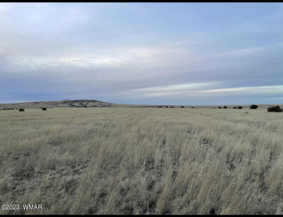 Tbd Tbd Concho, AZ 85924 - Photo 4 of 7