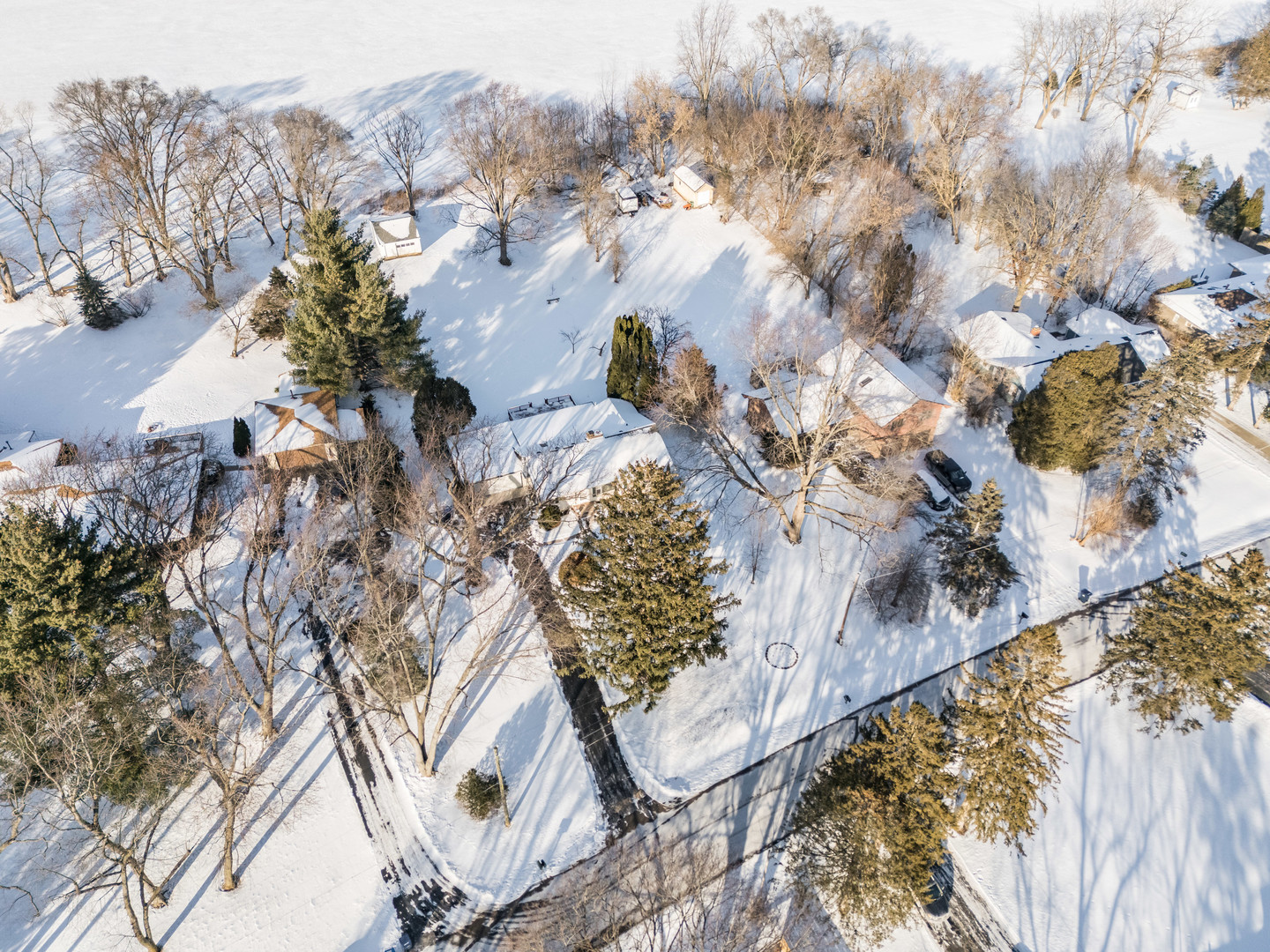 178 Brookhill Road Libertyville, IL 60048 - Photo 35 of 39 a view of a tree in a yard