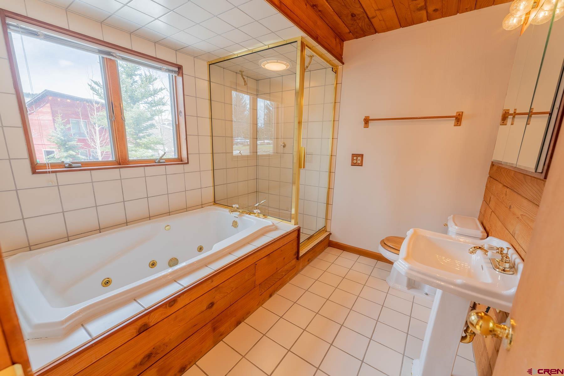 10 Arrowhead Circle Crested Butte, CO 81225 - Photo 21 of 33 a bathroom with a bathtub and a shower