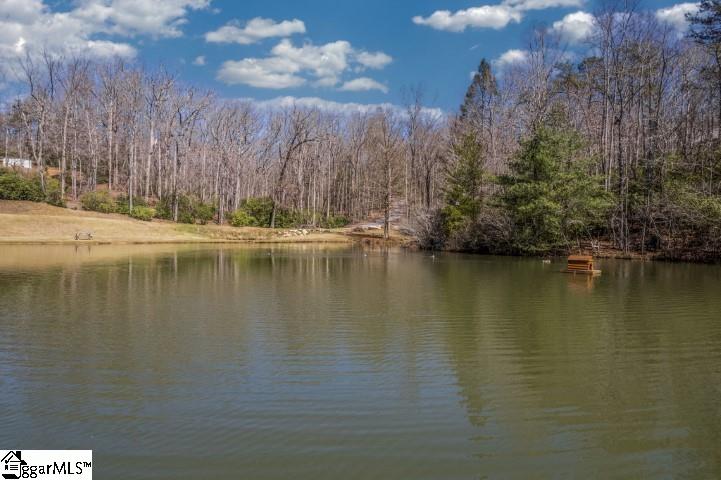 202 Hunters Ridge Pickens, SC 29671 - Photo 31 of 36