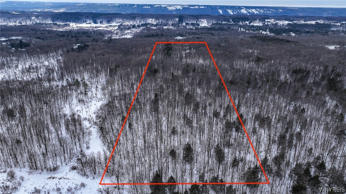 Bleistein Road Colden, NY 14033 - Photo 2 of 8