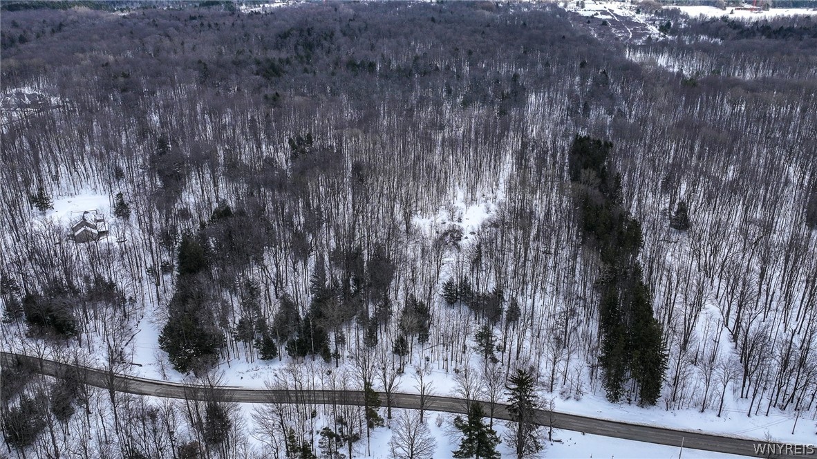 Bleistein Road Colden, NY 14033 - Photo 4 of 8