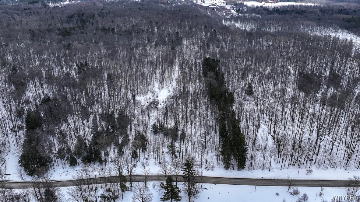 Bleistein Road Colden, NY 14033 - Photo 5 of 8