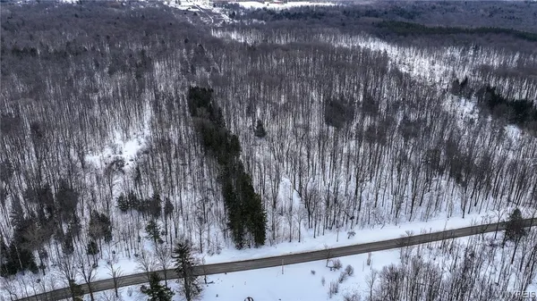 $280,000 | Bleistein Road, Colden, NY 14033