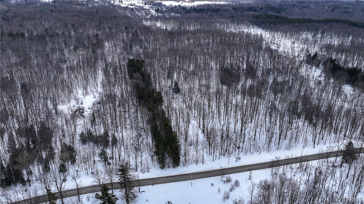 Bleistein Road Colden, NY 14033 - Photo 6 of 8