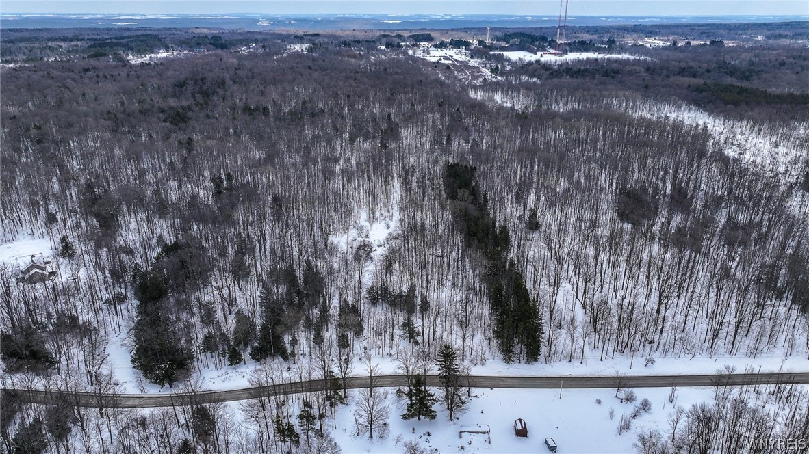 Bleistein Road Colden, NY 14033 - Photo 7 of 8