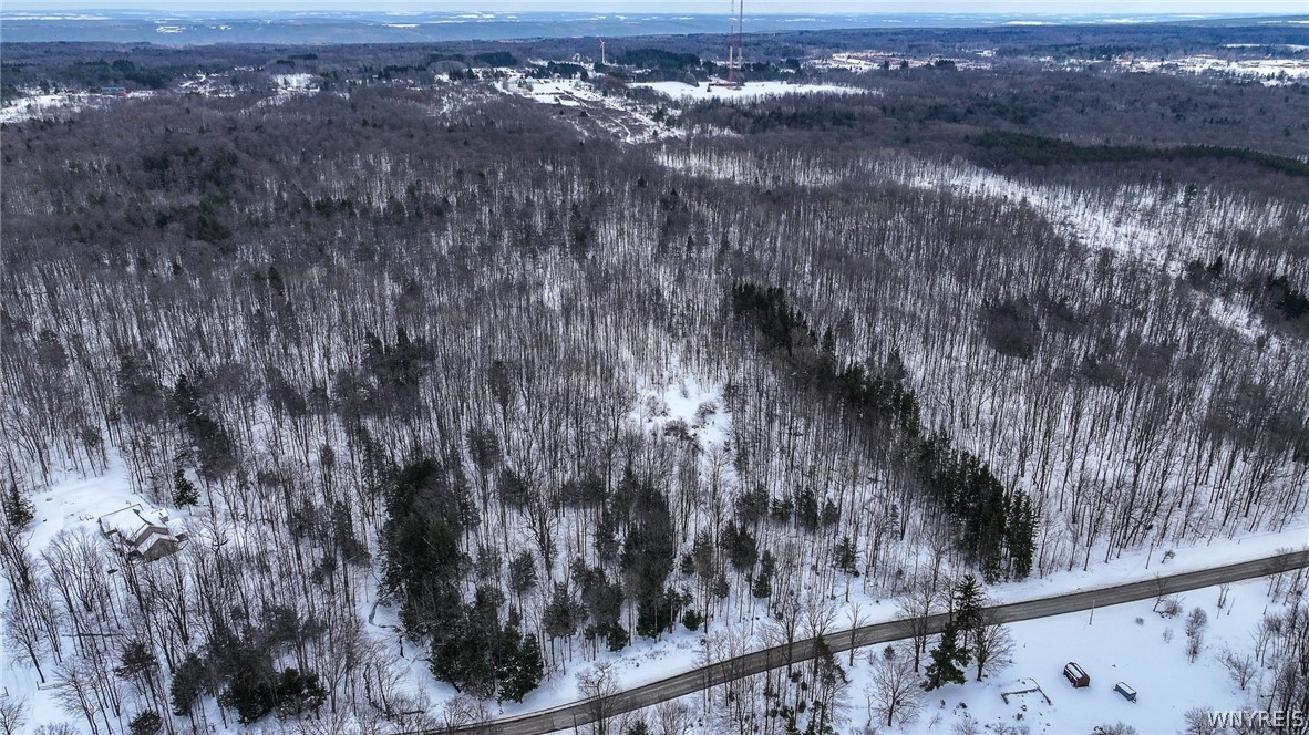 Bleistein Road Colden, NY 14033 - Photo 8 of 8