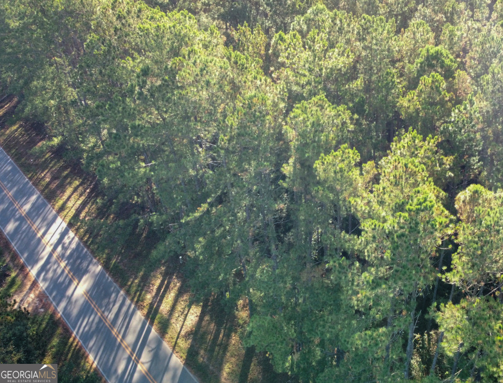 0 Mosley Road Claxton, GA 30417 - Photo 2 of 8