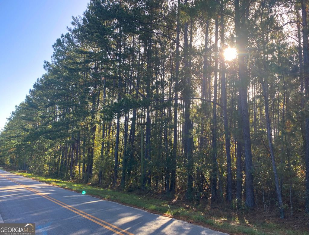 0 Mosley Road Claxton, GA 30417 - Photo 4 of 8 a view of a street with houses on both side of the street
