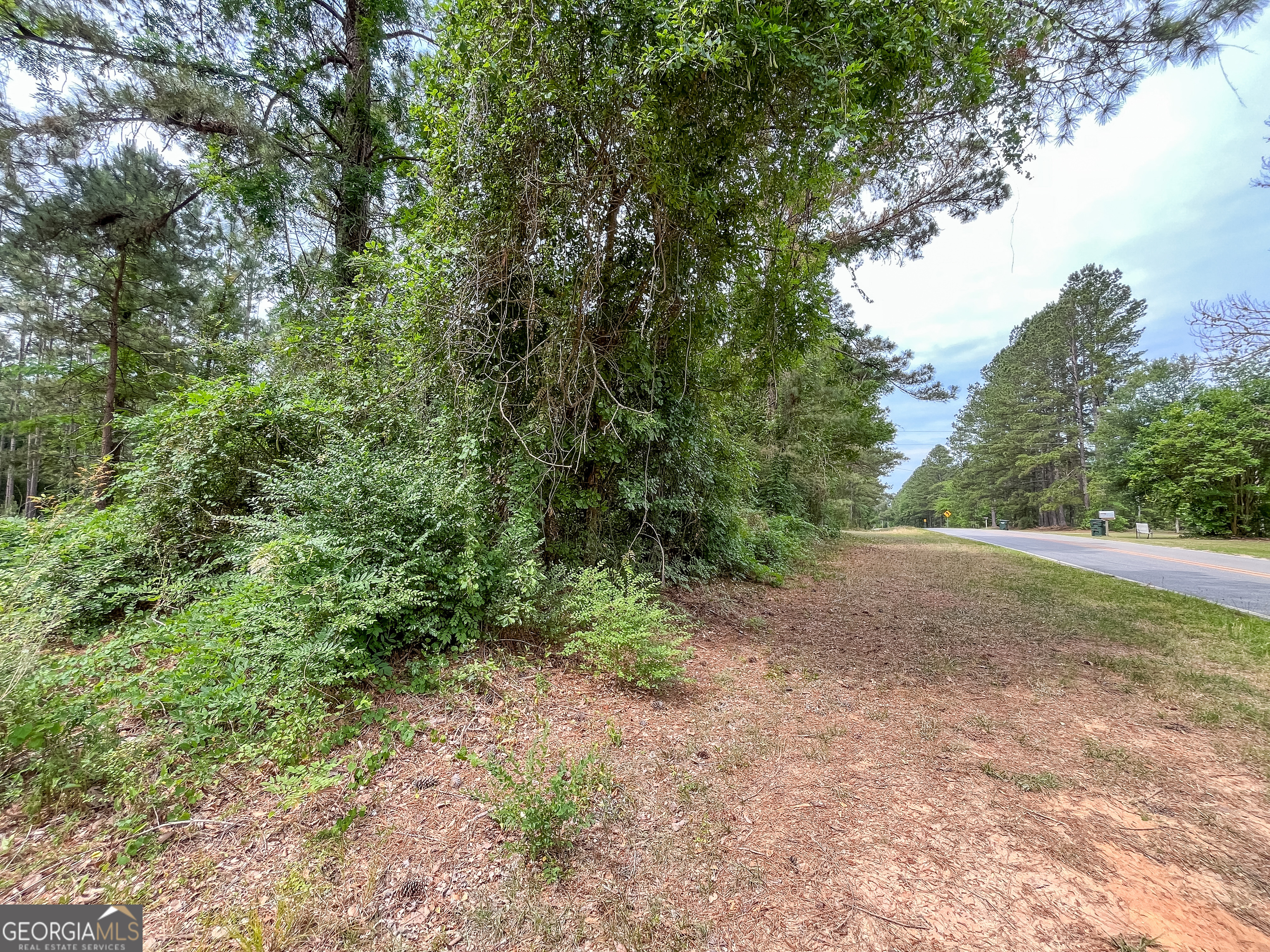 0 Mosley Road Claxton, GA 30417 - Photo 5 of 8 a view of outdoor space and trees