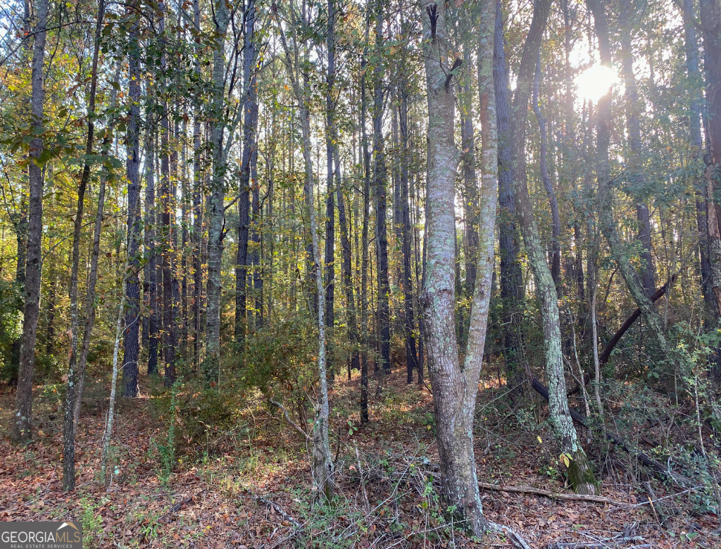 0 Mosley Road Claxton, GA 30417 - Photo 6 of 8 a backyard of a house