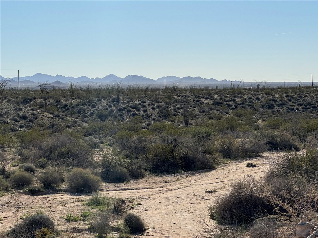 4332 West Sunset Road Yucca, AZ 86438 - Photo 6 of 7 a view of a backyard of a house