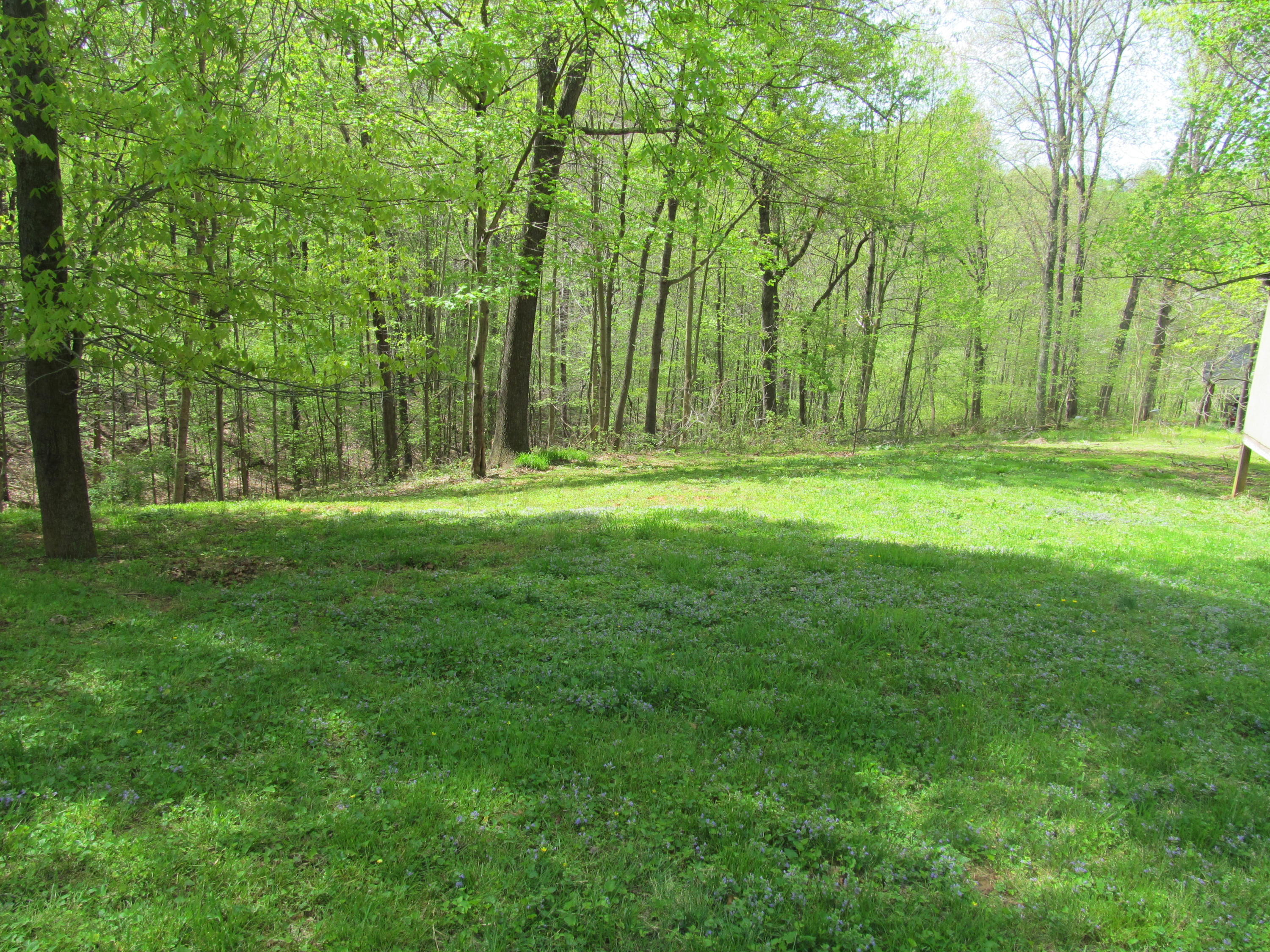 312 Piney Branch Road Blue Ridge, VA 24064 - Photo 20 of 21 a backyard of apartments with large trees