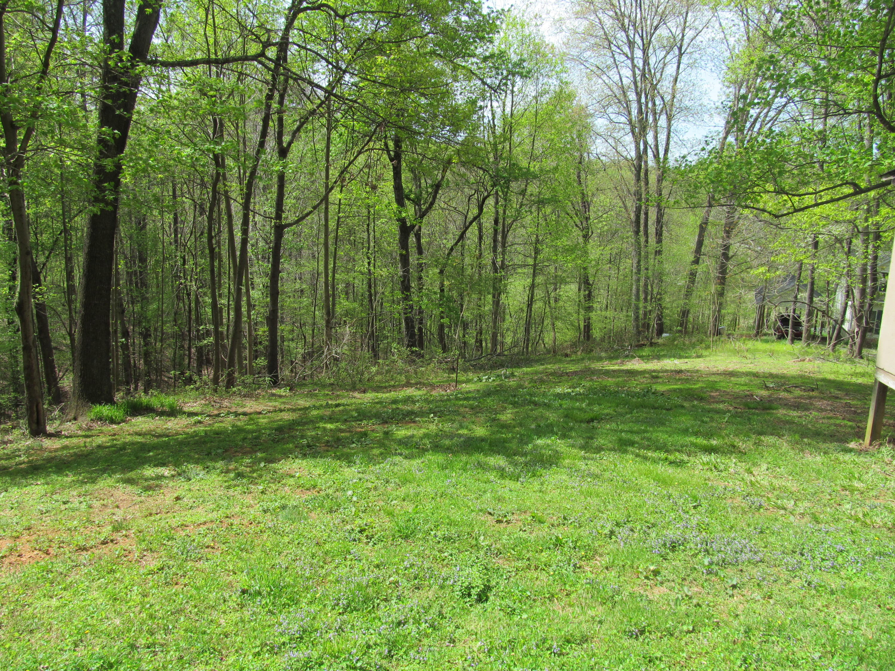 312 Piney Branch Road Blue Ridge, VA 24064 - Photo 21 of 21 a backyard of a house with trees
