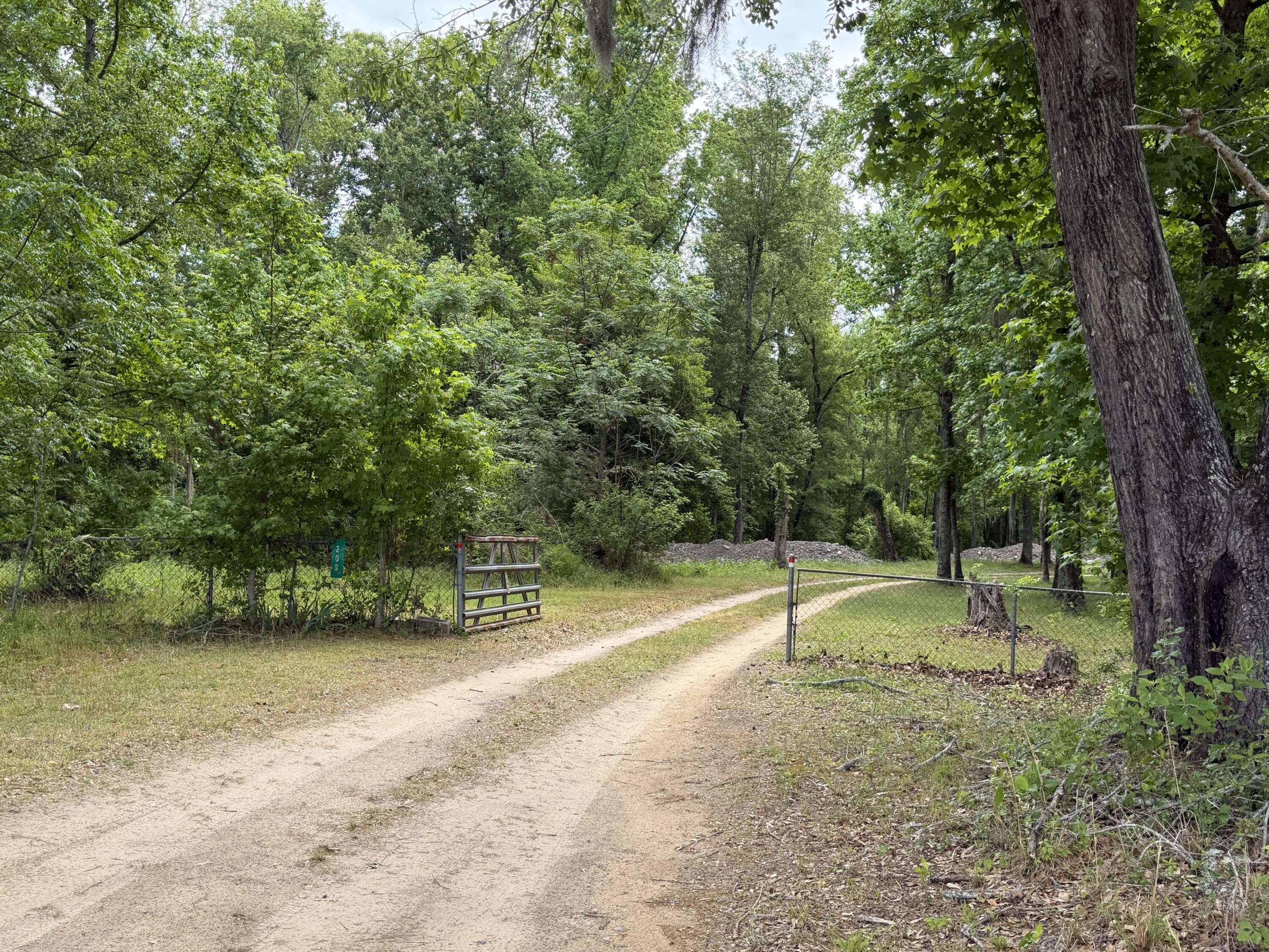 209 Verdi Lane Springfield, SC 29146 - Photo 4 of 27