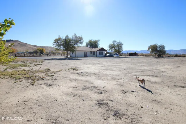 a view of a dry yard with wooden fence