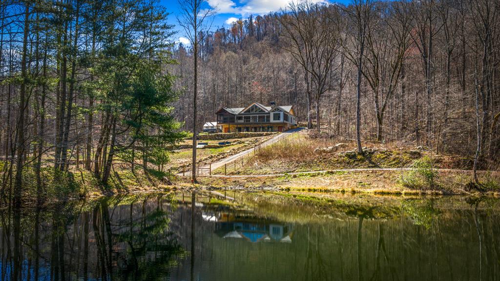 120 Cohutta Ranch Road Blue Ridge, GA 30513 - Photo 1 of 91 Main View