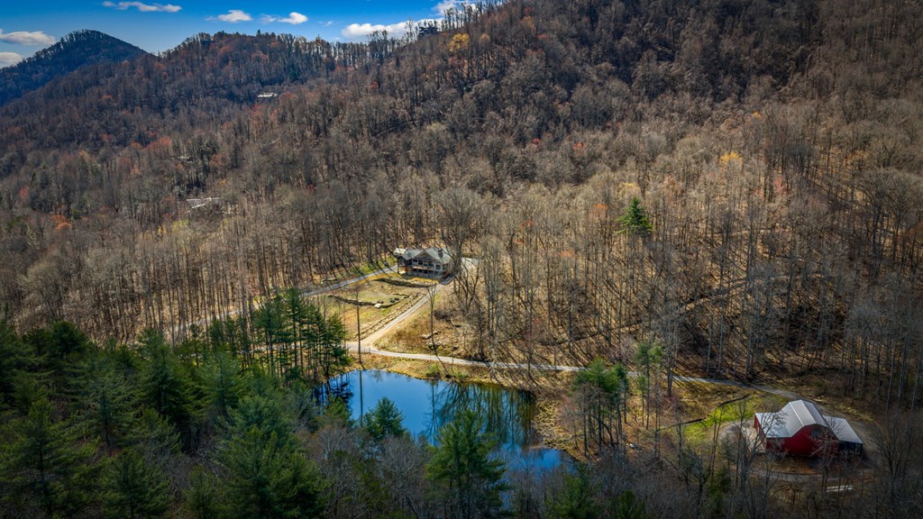 120 Cohutta Ranch Road Blue Ridge, GA 30513 - Photo 15 of 91